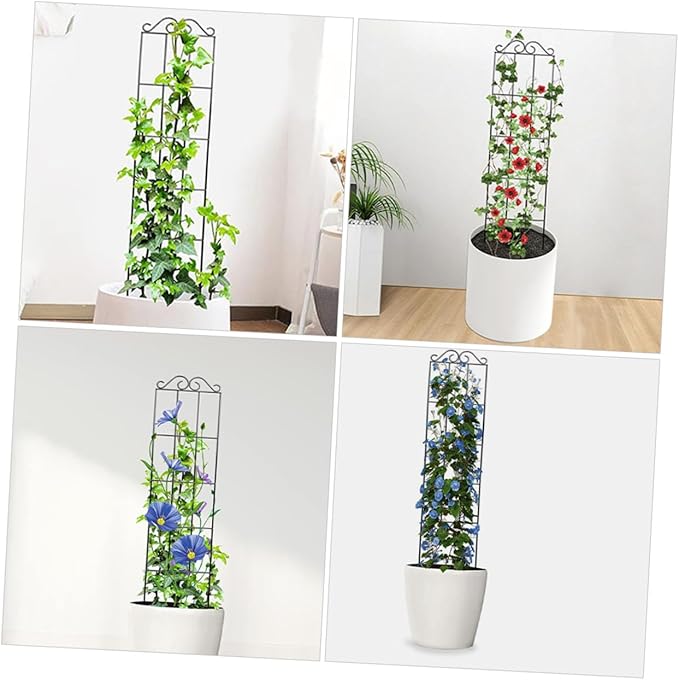 TIDTALEO 4pcs Metal Garden Trellis Support Frames for Climbing Plants and Vines 50x15cm Black Potted Plant Cage for Indoor and Outdoor Gardening