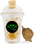 Chinese Praying Mantis Ootheca Egg Case with Hatching Habitat Transparent Cup - One Egg Case - Beneficial for Stem Education and Gardening Egg Case Produces Approximately up to 400 Baby Nymphs