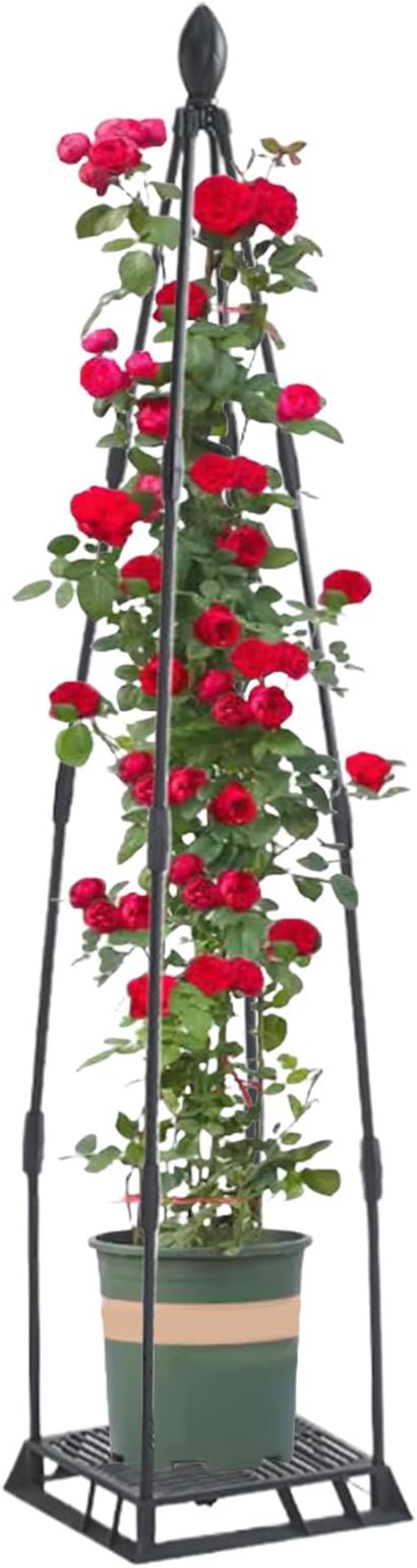 Garden Trellis for Climbing Plants Metal Plant Support Plants Climbing Trelli Frame Rustproof Obelisks Clematis Support for Pots Plant Rose Tomato Cucumber Flowers Grape Pea