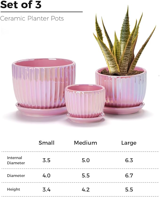 Ton Sin Pink Gold Ceramic Flower Pots 4+5+6 Inch Small Glazed Succulent Planters with Drainage HoleModern Indoor Decorative Plant Pots Set of 3Garden Pots with Saucer