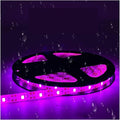 MeLphi Led Light Strip 2835 Plant Growth Light 5V Waterproof USB Full Spectrum Vegetable Flower Succulent supplementary Light Plant Light (Color : Normal Size : 5M Waterproof)