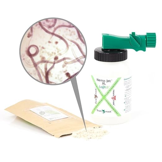 BioLogic's Scanmask Beneficial Nematodes Steinernema feltiae Sf Nematodes for Natural Insect Pest Control (50 Million with Applicator)