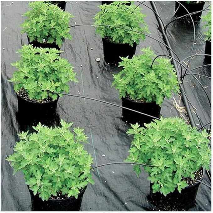 100m 90GSM Farm Greenhouse Gardening Ground Fabric Vegetable Fruit Garden Grass Weed Mat Weed Landscape Fabric Heavy Duty Cover (Size : 1.2m x 100m)
