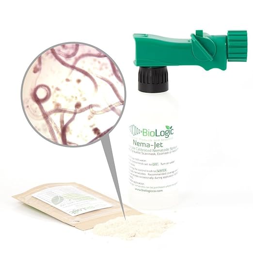 BioLogic's Scanmask Beneficial Nematodes Steinernema feltiae Sf Nematodes for Natural Insect Pest Control (5 Million with Applicator)