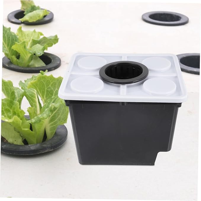 Soilless Hydroponics System Baskets for Indoor Plant Container and Gardening