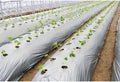 1Pcs 10m Silver Black Plastic Planting Film 0.012mm Thick Agriculture Ground Cover Film Protection Greenhouse Keep Warm Weed Control Mulch Film (Size : 1.2M Width)
