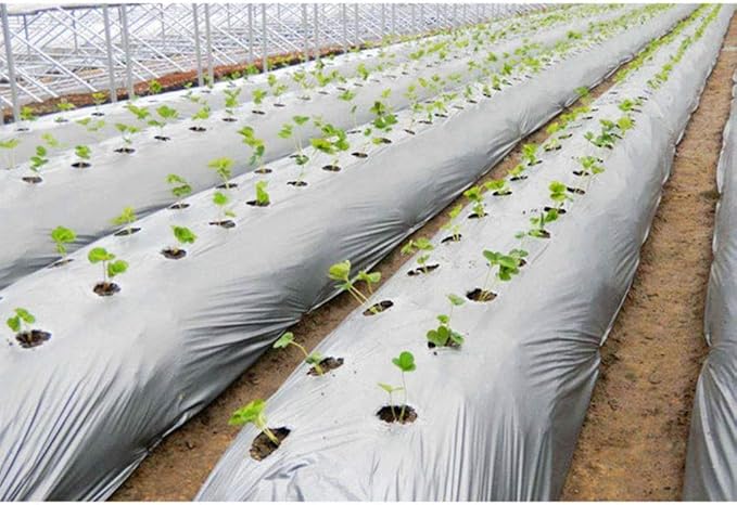 1Pcs 10m Silver Black Plastic Planting Film 0.012mm Thick Agriculture Ground Cover Film Protection Greenhouse Keep Warm Weed Control Mulch Film (Size : 1.0M Width)