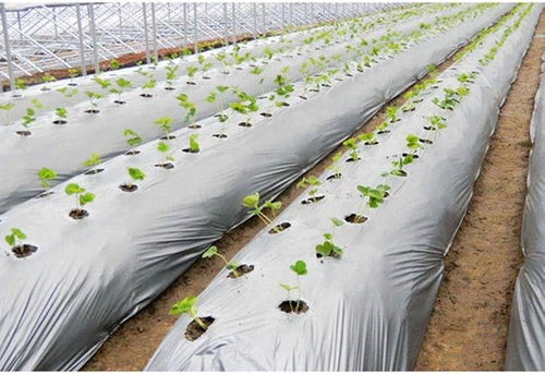 1Pcs 10m Silver Black Plastic Planting Film 0.012mm Thick Agriculture Ground Cover Film Protection Greenhouse Keep Warm Weed Control Mulch Film (Size : 2.0M Width)