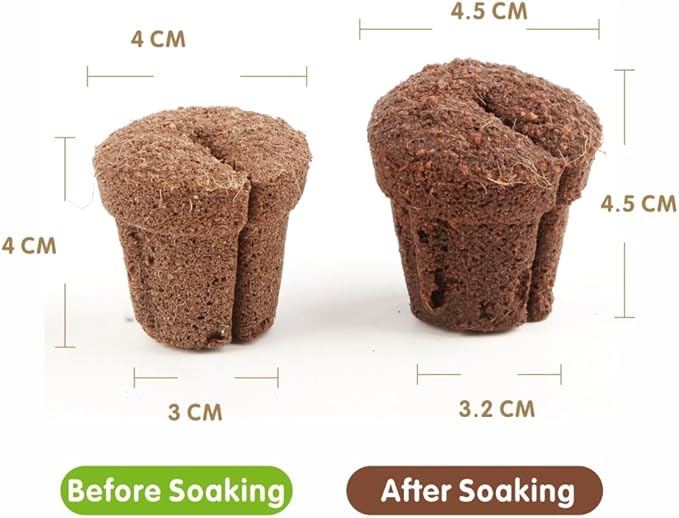 50pcs 1.5 Inch Phalaenopsis Orchid Growing Plugs Hydroponic Growing Media for 1.5 Inch Orchid Cups Breathable Planting Cubes for Orchid Seedlings and Transplanting