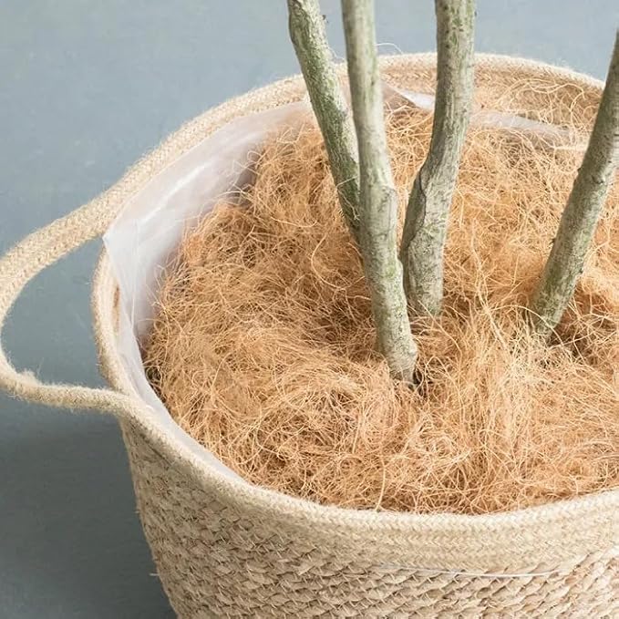 500g 17.64 Ounce Natural Coconut Husk Fiber Flowerpot Cover Insect-Proof Protect Garden Flower Plant Soil Keep Warm Reptile Bedding Bird Nest