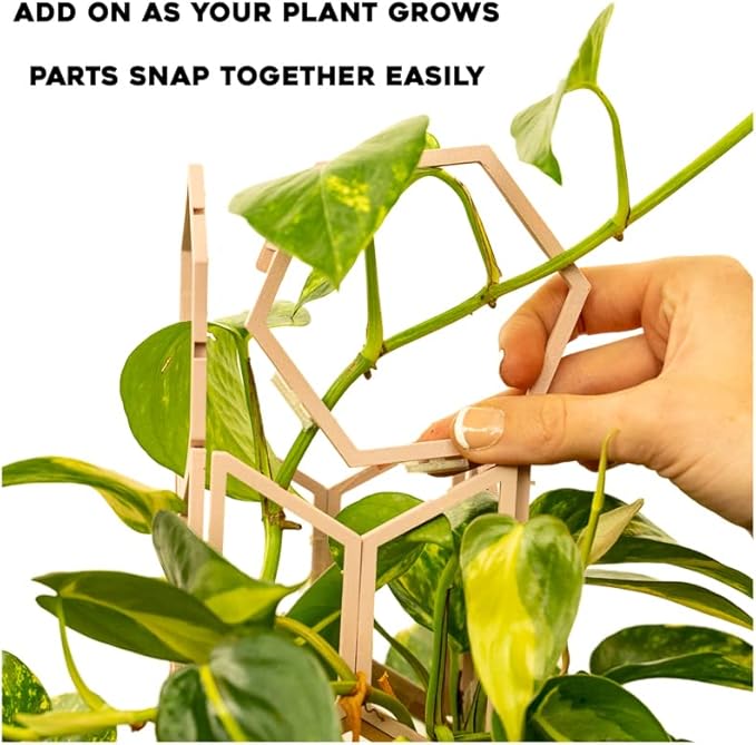 Hexagon Trellis for Climbing Plants Outdoor - Stackable 14 Tall Trellis for Indoor Potted Plants - Starter Pack 2.0 Modular System Houseplant Trellis - 50pcs Starter Set (Green Tea)