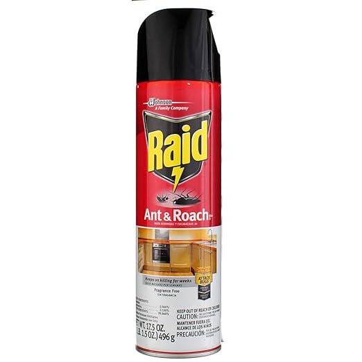 Raid Ant &amp Roach Killer Aerosol Fragrance Free 17.5 oz. Pack of 4
