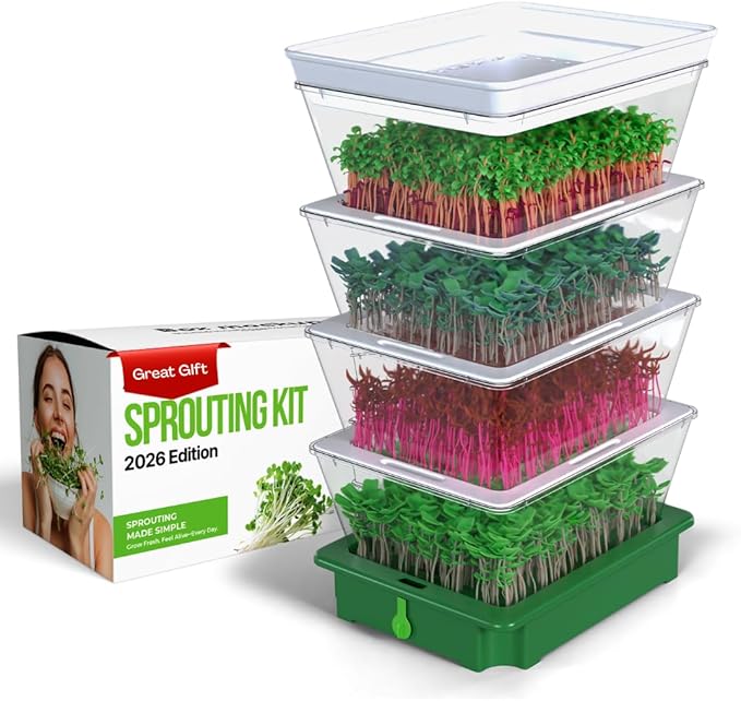 2026 Upgraded 4-Tier Stackable Seed Sprouter with Air Holes &amp Easy Sink-Draining Spout Tray – Soil-Free Sprouting System for Broccoli Alfalfa &amp Bean Sprouts.