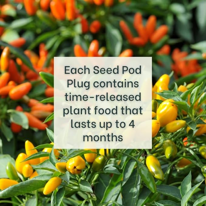 Taquito Pepper - Complete Seed Pod Plugs with Plant Food - 10 Pods for Hydroponic Gardens Click and Grow Lettuce Grow and Outdoor Gardens