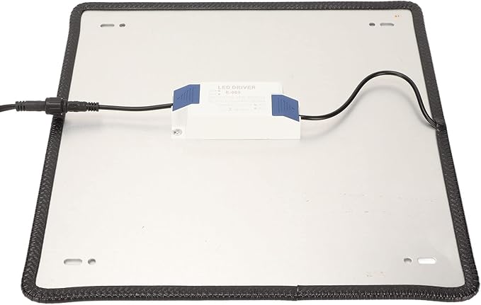 LED Grow Light Professional Low Heat Radiation 1000W 85‑265V Safety LED Plant Light for Greenhouse (US Plug)