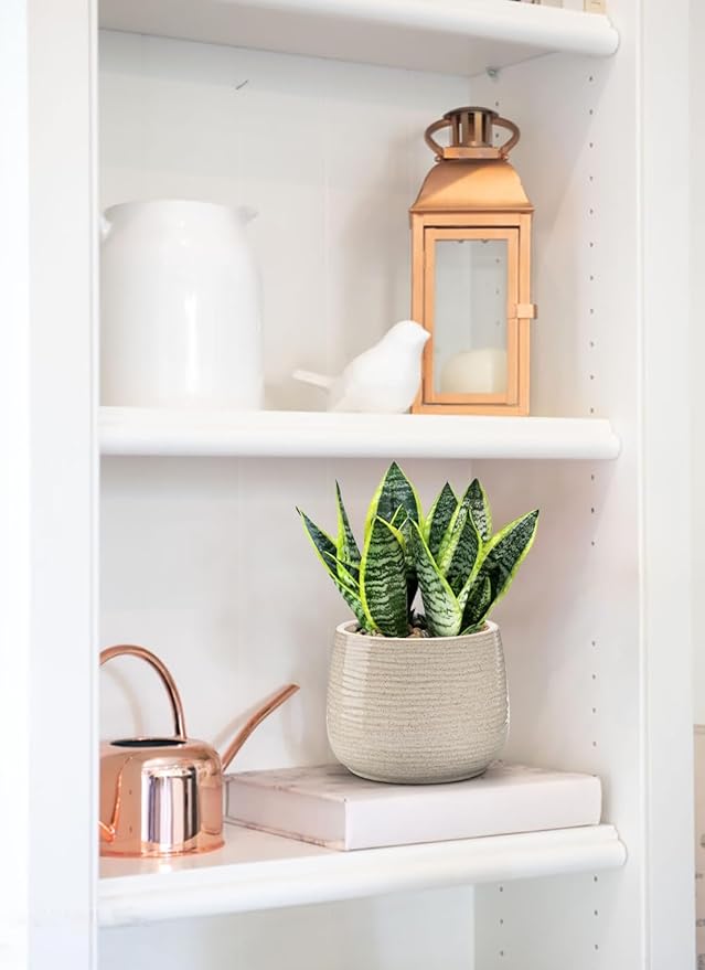 Ceramic Plant Pots 5.3 Inch Set of 2 Flower Plants Pot with Drainage Holes White Planter Garden Pot for Succulent Cactus Home Decoration Gift Indoor Outdoor