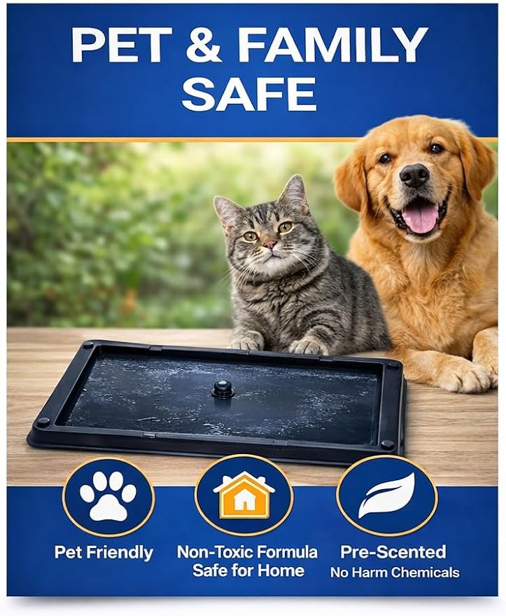 Glue Traps Indoor for Home 12 Pack Bulk Glue Traps for Rats Mice Snakes and Lizards Non-Toxic Adhesive Plastic Trays Insect &amp Spider Pet Safe Pest Control
