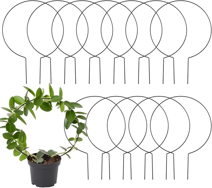 Generic Vines Pothos 12 Pcs Circle Trellis for Climbing Plants 13.4 X 9.4 in Metal Round Trellis Small Indoor Plant Trellis Rustproof Black Metal Support Frame Potted Plants