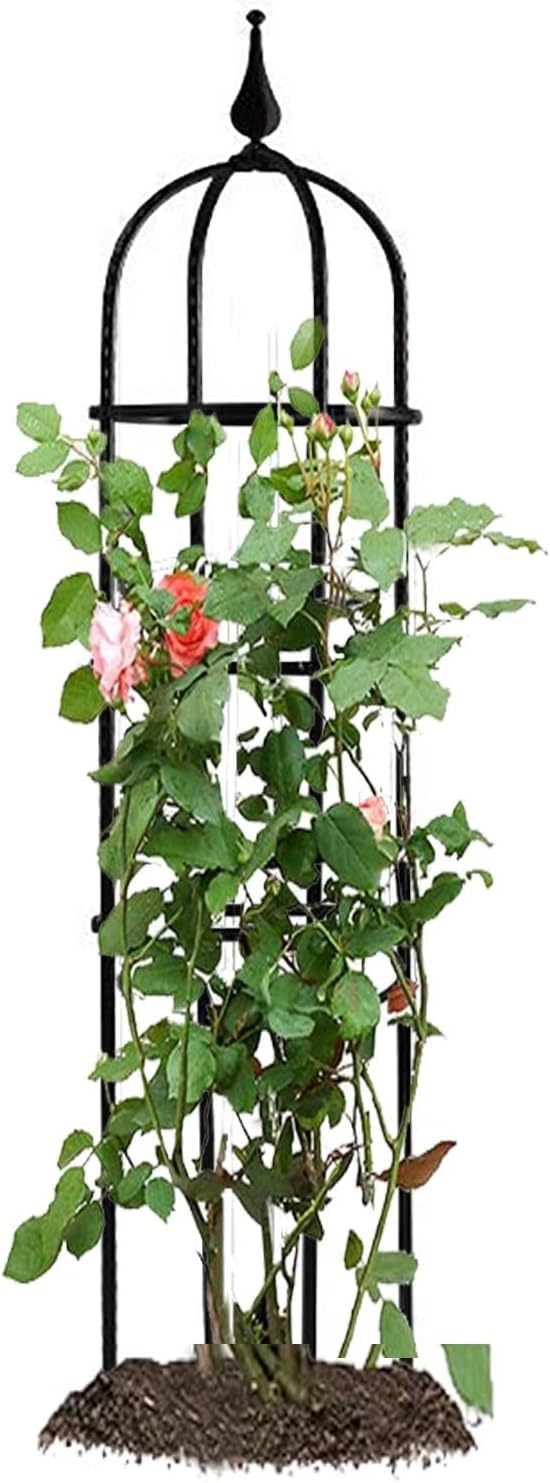 RADAAB Garden Obelisk Trellis 47.3 24 29.5 35.5 H Tower Obelisk Plant Support Garden Trellis for Potted Climbing Flowers Vegetable Vine Indoor Outdoor (Size : 10/25cm Diax47.3/120cm H)