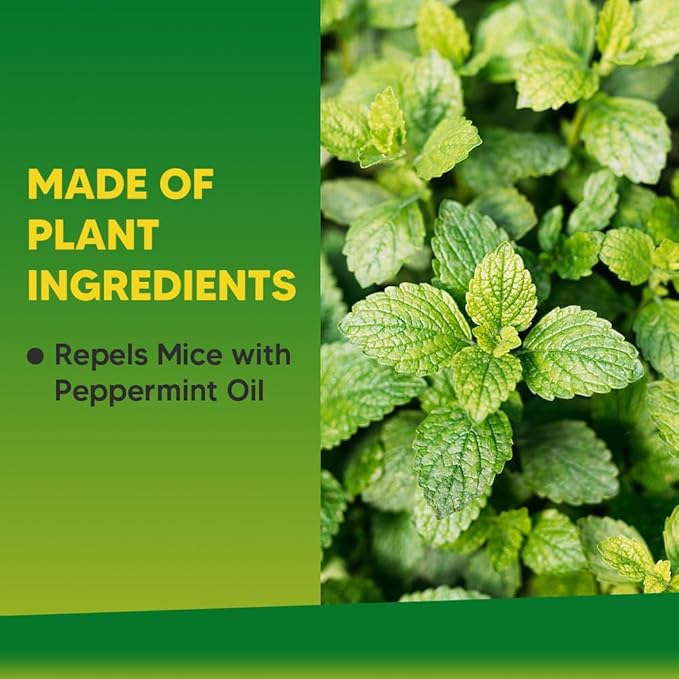 Rodent Repellent Mouse Repellents Rat Repellent Natural Mice Repellent Indoor Extra-Strength Peppermint Oil to Repel Mice and Rats Keep Mice Away Rat DeterrentPowerfully&ampEffectively-12P