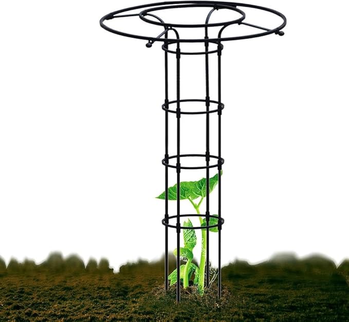 Outdoor Garden Obelisk Trellis for Climbing Plants Vine Jasmine Rose BushGarden Trellis for Climbing PlantsClimbing Rose Trellis(Size:120cm/47.2in)