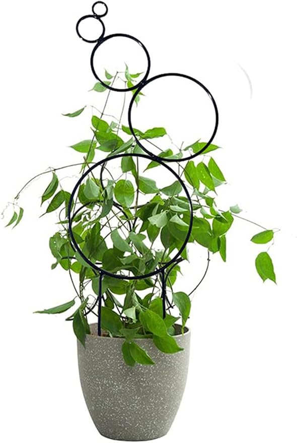 4 Pcs Small Metal Trellis for Potted Plants Indoor Plant Trellis Mini Garden Trellis for Potted PlantsHoyaPothosFlowerMonstera(Color:Green)