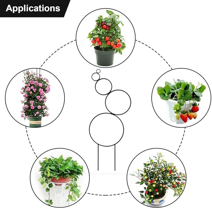 4 Pcs Small Metal Trellis for Potted Plants Indoor Plant Trellis Mini Garden Trellis for Potted PlantsHoyaPothosFlowerMonstera(Color:Black)
