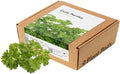 Click and Grow Curly Parsley Plant Pods for Smart Garden 9-Pack