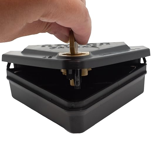 Gold Key Mouse Depot Plastic Tamper-Resistant Mini Bait Station with Clear Window – Indoor &amp Outdoor Mouse Size Rodent Control