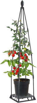 Garden Trellis for Climbing Plants Metal Plant Support Plants Climbing Trelli Frame Rustproof Obelisks Clematis Support for Pots Plant Rose Tomato Cucumber Flowers Grape Pea