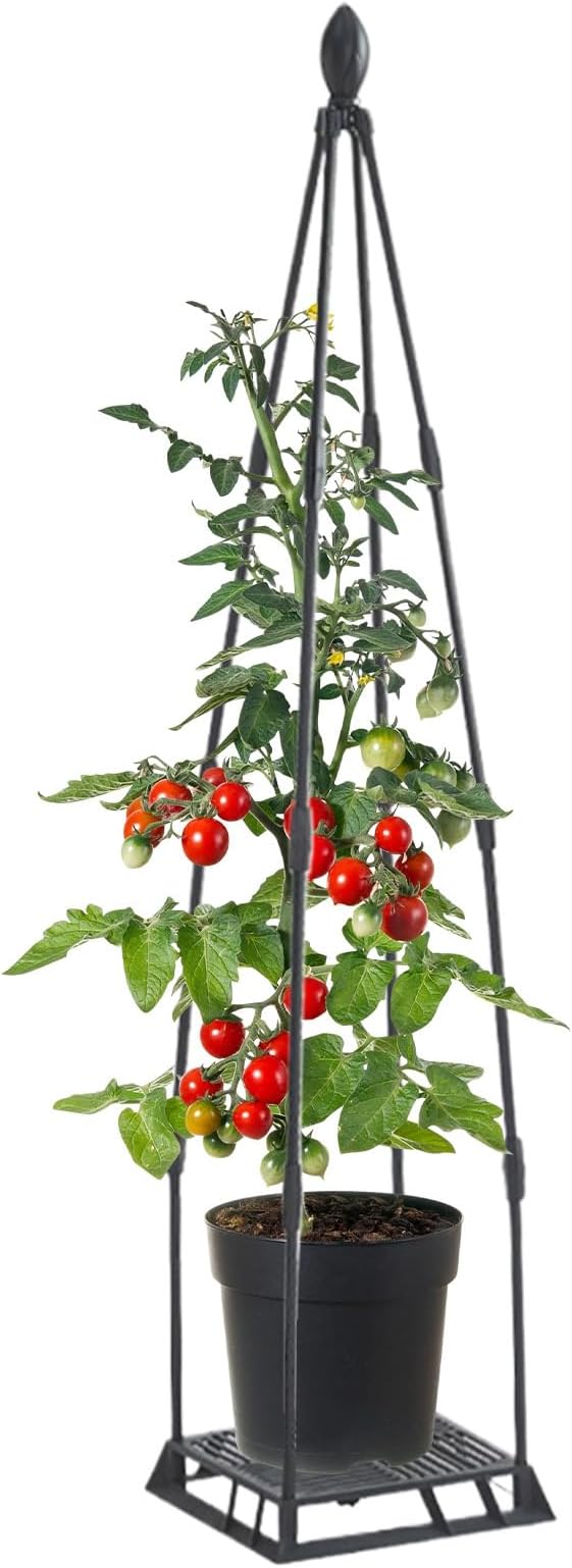 Garden Trellis for Climbing Plants Metal Plant Support Plants Climbing Trelli Frame Rustproof Obelisks Clematis Support for Pots Plant Rose Tomato Cucumber Flowers Grape Pea