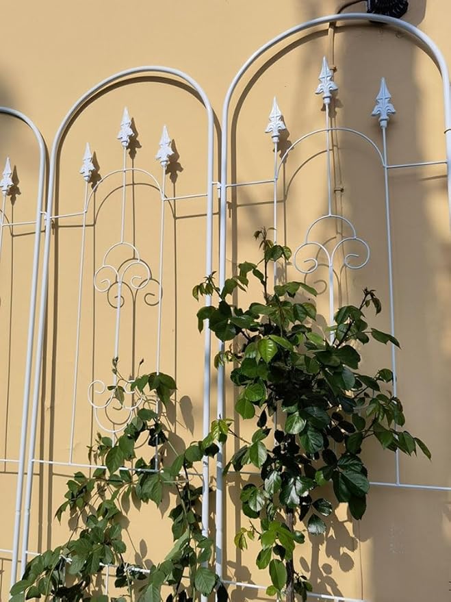 Garden Trellis Plant Trellis for Potted PlantsMetal Plant Support Structure for Outdoor Vegetables Fruits Flowers Vines(Color:WhiteSize:180cm(70.9 inches))