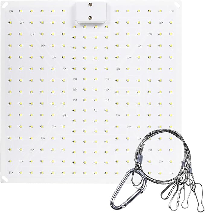 Pl Lamp LED Succulent Fill 50W Full Spectrum Pl Grow Quum Plate Greenhouse Greenhouse Nursery Plng
