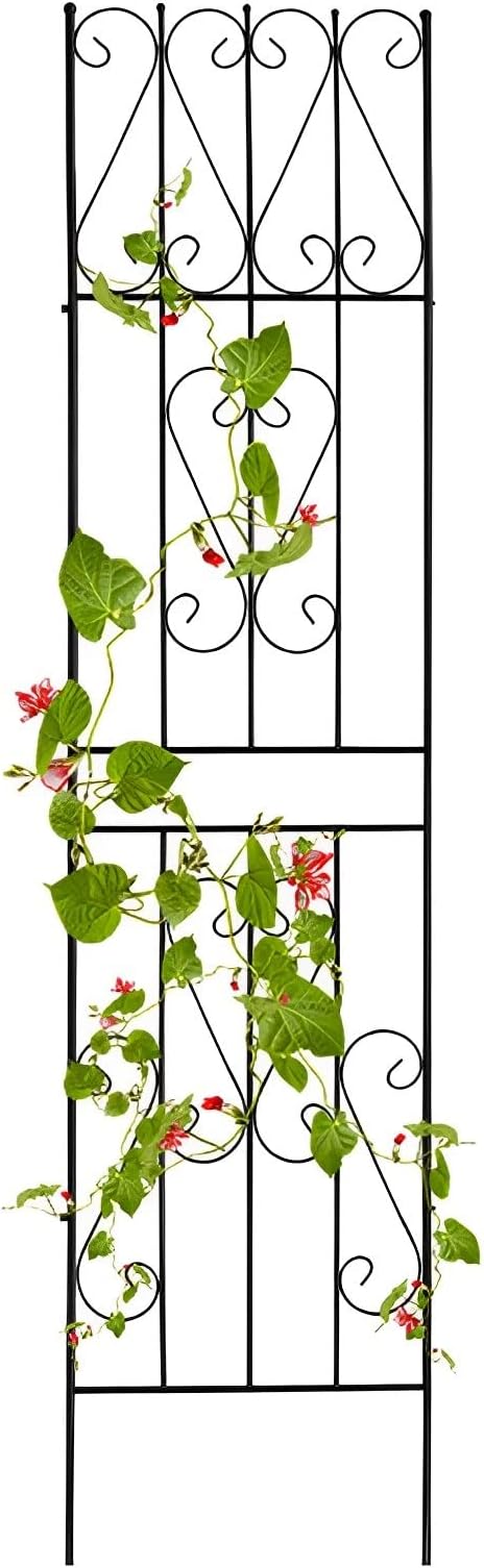 Outdoor Climbing Plant Grille Anti-Rust Iron Bracket Metal Garden Trellis Decorative Privacy Screen Black/White(Color:BlackSize:220x50cm/87x50in)