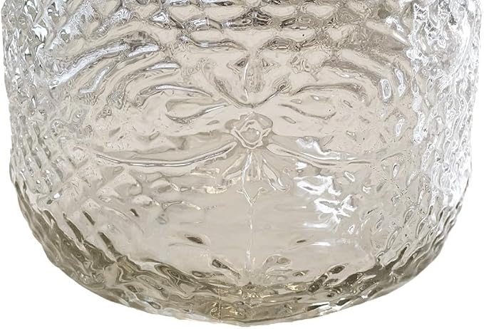 Esschert Design EG21 Wasp Trap Clear Hobnail Glass Large 8.75 H