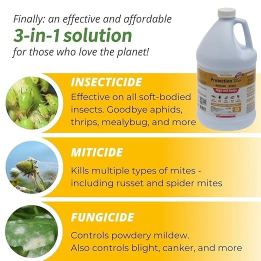 Environmental Plant Management Protection Plus Concentrate | Oil-Free Contact Insecticide for Plants | Kills Aphids Whiteflies Spider Mites &amp Other Soft-Bodied Pests | Natural | Indoor &amp Out