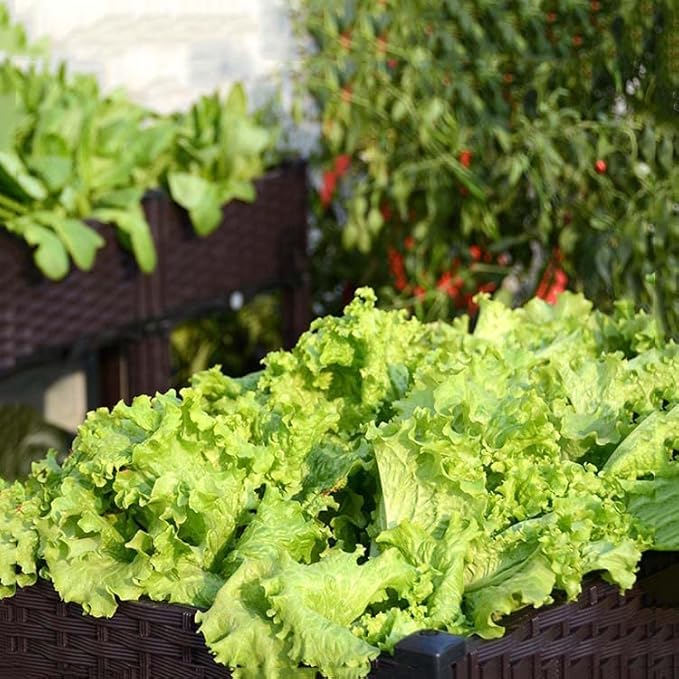 YSUEFIJO Raised Garden Bed Planter Raised Garden Bed Outdoor Planter Box for Outdoor Plants Planter Raised Beds for Vegetables Easy Assembly for Flowers Herbs Fruits