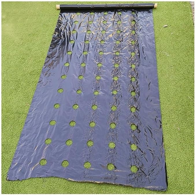 Biodegradeable Weed Control Mulch Film 0.02MM Thickness for Allotments Veg Patch Borders Ground Cover (Size : 0.95x30m with Holes)