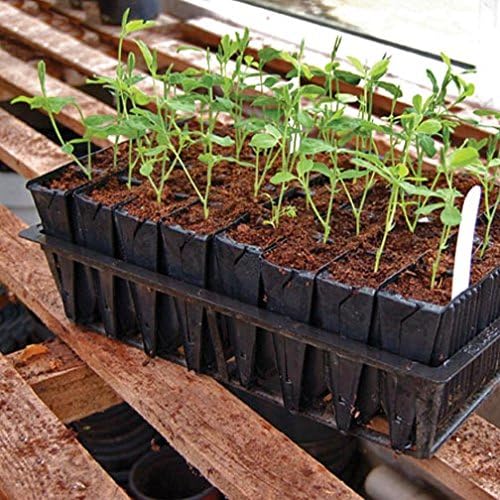 Deep Rootrainers Kit - Seed and Cutting Propagation Kit (32 Cell 5 inches deep)