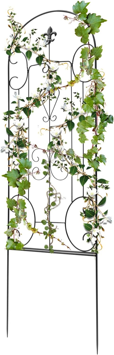 H5ft x W18inch Metal Frame Stand Trellis 2 Pack Garden Arch Arbor Trellis Decorative Vegetables Flowers Vine Trellis for Lawn Backyard Climbing Plants
