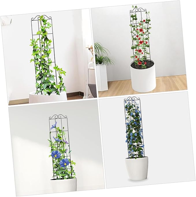 Beaupretty 4pcs Metal Plant Support Frames Climbing Trellis Garden Plant Fixed Rings for Indoor Outdoor Vines and Flowers 50x15cm Black Greenhouse Support