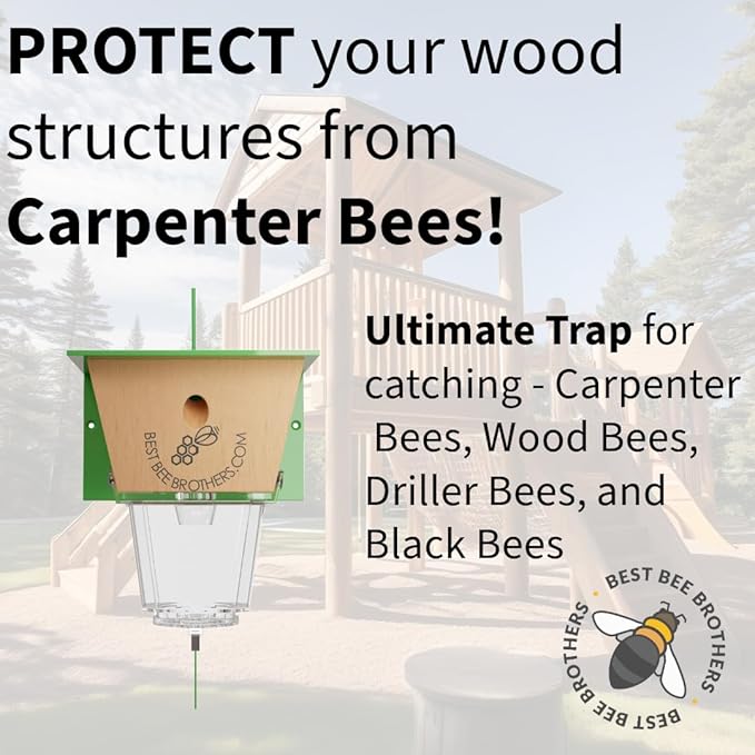 Best Bee Brothers Ultimate Carpenter Bee Trap for Outside with Large Clear External Receptacle Internal Bee Vault &amp Spring-Loaded Door 5.75 L x 6 W x 4.5 H (6 Pack)