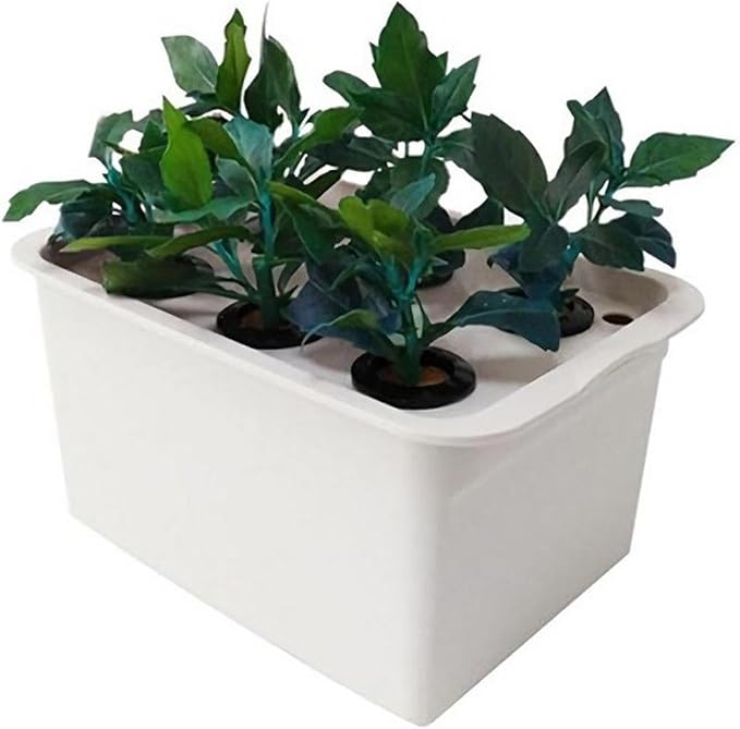 Hydroponic Growing Box Self Watering Soilless Cultivation Equipment Aerated Garden Cabinet Box for Lettuce Vegetables Suitable for Family Gardening Pa