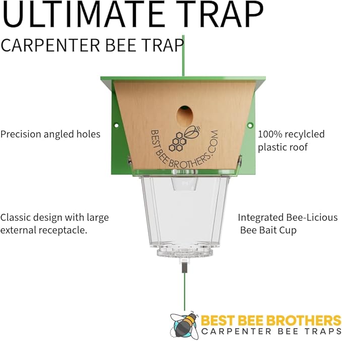 Best Bee Brothers Ultimate Carpenter Bee Trap for Outside with Large Clear External Receptacle Internal Bee Vault &amp Spring-Loaded Door 5.75 L x 6 W x 4.5 H (6 Pack)