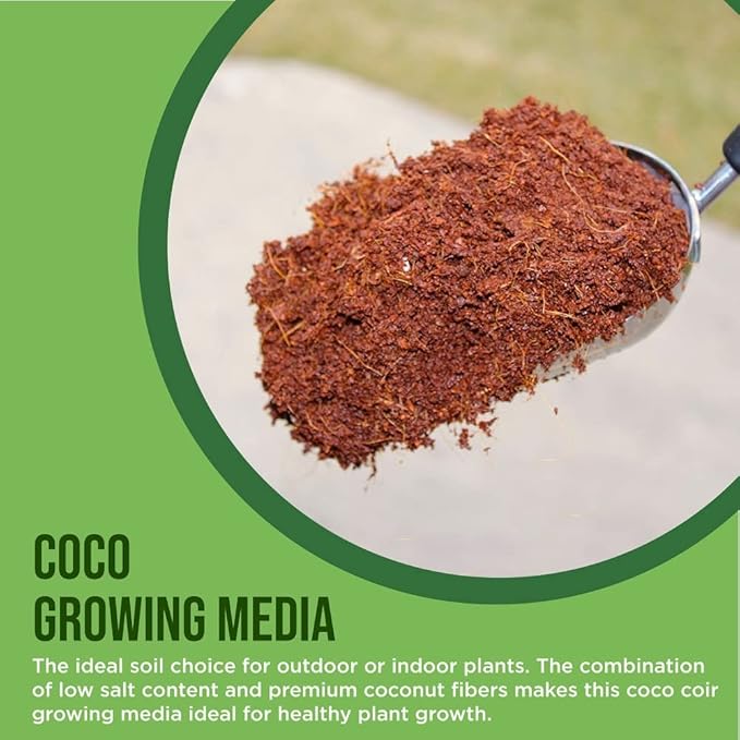 Coco Coir for Plants 6-Pack – 2.4 Gallons Compressed Coconut Coir Bricks 1.5 lb. Bulk Low EC pH Balanced Natural Coco Peat for Indoor &amp Outdoor Gardening Potting Soil Indoor Plant Soil