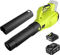 SnapFresh Leaf Blower Cordless - 350 CFM Electric Leaf Blower with 4.0Ah Battery &amp Fast Charger - Lightweight &amp 2-Speed - 20V Battery Powered Leaf Blowers for Lawn Care/Yard/Garden/Patio