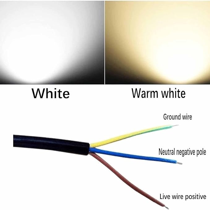 Outdoor Buried Lights - Ground LED Landscape Lights AC-220V Outdoor Recessed Spot Light IP67 Waterproof Spotlight/Led Beam Light Garden Tree Spotlight Floor Lamp(White10W)