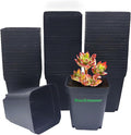 Square Nursery pots 4 Inches 60Pcs Seedling Plastic Seeds propogation Growing Pots (Black4Inches60Pcs)