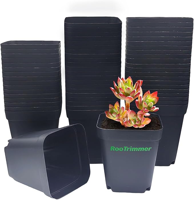 Square Nursery pots 4 Inches 60Pcs Seedling Plastic Seeds propogation Growing Pots (Black4Inches60Pcs)