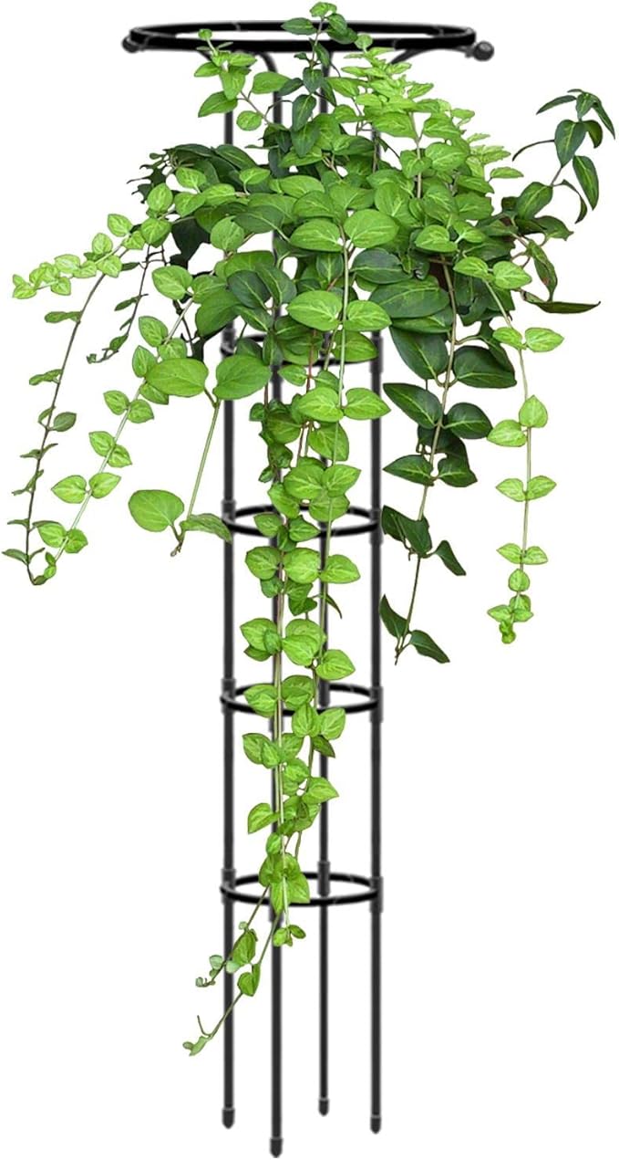 Indoor Plant Trellis | Umbrella Shape Single Plants Support - Garden Metal Trellis for Potted Plants 72.8in Outdoor Flower Support for Vine Ivy Flower Plant